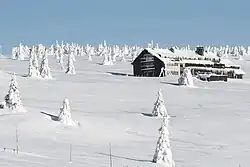 Dvorská bouda v zimě