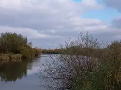 Tok řeky Visly u vesnice Dymitrów Mały