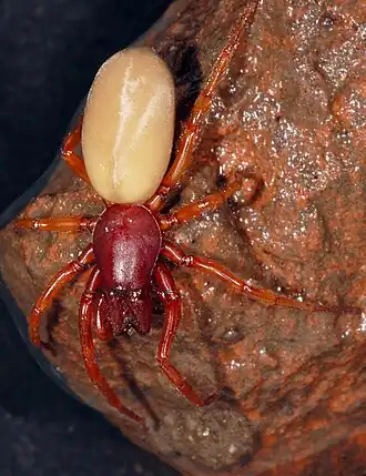 alternativní popis obrázku chybí