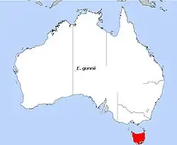 Areál rozšíření