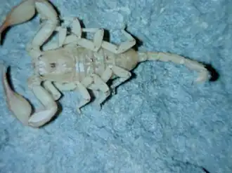 alternativní popis obrázku chybí