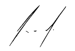 Enrique Peña Nieto, podpis