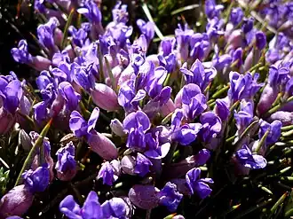 alternativní popis obrázku chybí