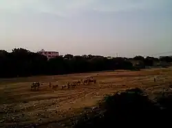 Vádí Dechatu v Dire Dawě