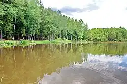 Štítarský rybník