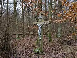 motiv z lesa Městský bor poblíž vsi Tůně