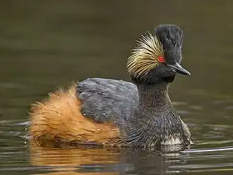 alternativní popis obrázku chybí