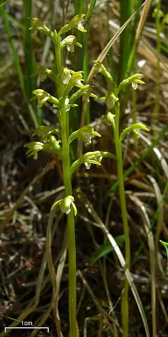 alternativní popis obrázku chybí