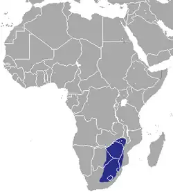 Rozšíření bércouna jihoafrického (modře)