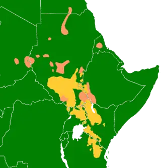 Oranžově jsou vybarveny jižní súdánské jazyky a červeně severní súdánské jazyky