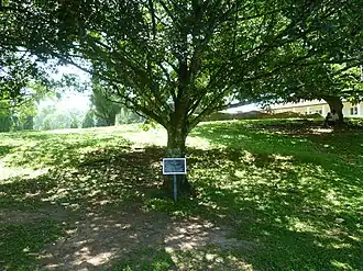 alternativní popis obrázku chybí