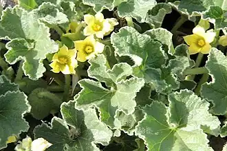 alternativní popis obrázku chybí