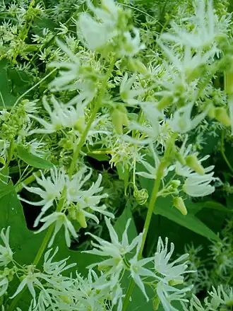 alternativní popis obrázku chybí