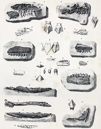 alternativní popis obrázku chybí