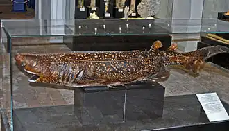 alternativní popis obrázku chybí