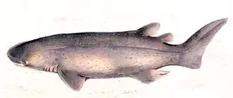 popis obrázku chybí