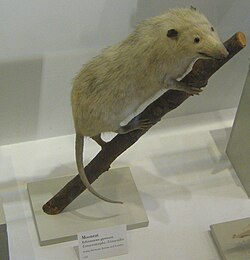 alternativní popis obrázku chybí