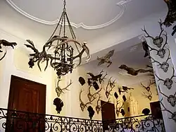 Lovecký zámek Eckartsau, lovecké trofeje