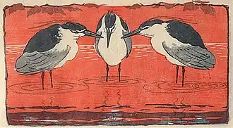 Kvakošové noční, dřevoryt 1896