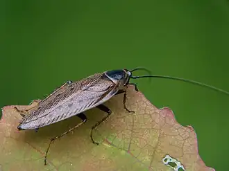 alternativní popis obrázku chybí