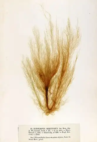 alternativní popis obrázku chybí