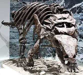 alternativní popis obrázku chybí