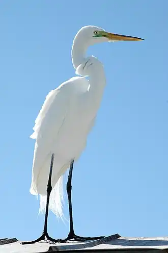 alternativní popis obrázku chybí