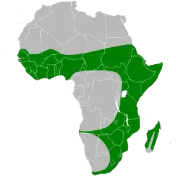 Areál rozšíření