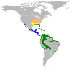 Areál rozšíření