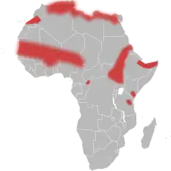 Areál rozšíření