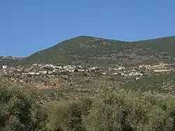 Celkový pohled na Ajn al-Asad