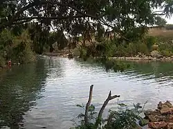 Přírodní jezírko a vegetace při pramenu Ejn Šokek na vádí Nachal Šokek