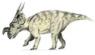 alternativní popis obrázku chybí