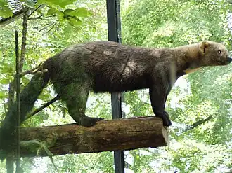 alternativní popis obrázku chybí