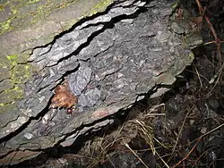 Rozpadající se balvan