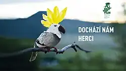 Mezinárodní festival dokumentárních filmů o udržitelném rozvoji