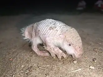 alternativní popis obrázku chybí