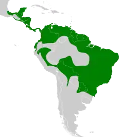 Areál rozšíření