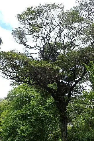 alternativní popis obrázku chybí