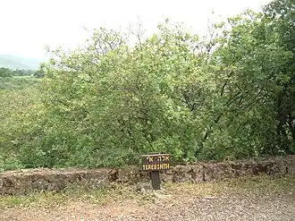 alternativní popis obrázku chybí