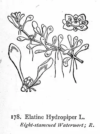 alternativní popis obrázku chybí