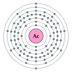 atom aktinia