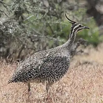 alternativní popis obrázku chybí