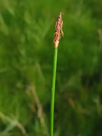 alternativní popis obrázku chybí