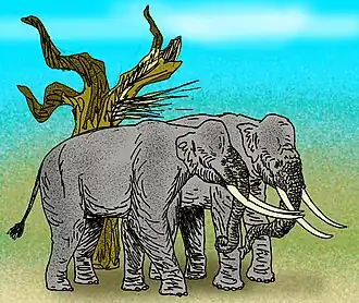 alternativní popis obrázku chybí