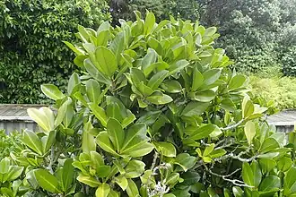 alternativní popis obrázku chybí