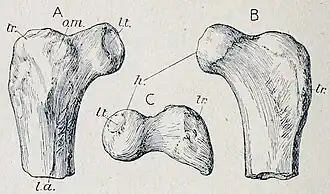 alternativní popis obrázku chybí