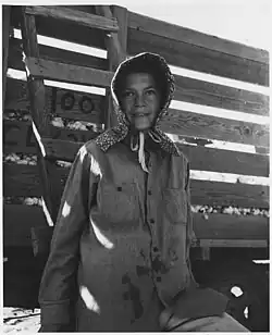 Kočovná sběračka bavlny, která přišla z Oklahomy stojí u valníku. Okres Eloy, Pinal County, Arizona, listopad 1940.