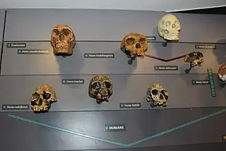 alternativní popis obrázku chybí