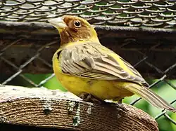 alternativní popis obrázku chybí